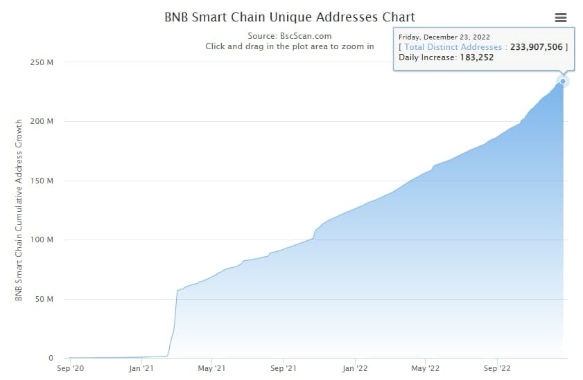 BNB Chain Unique Address